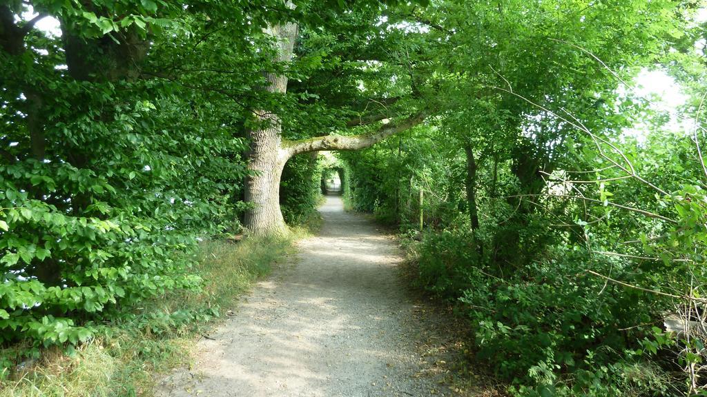 Hotel Restaurant Sokrates Güttingen エクステリア 写真