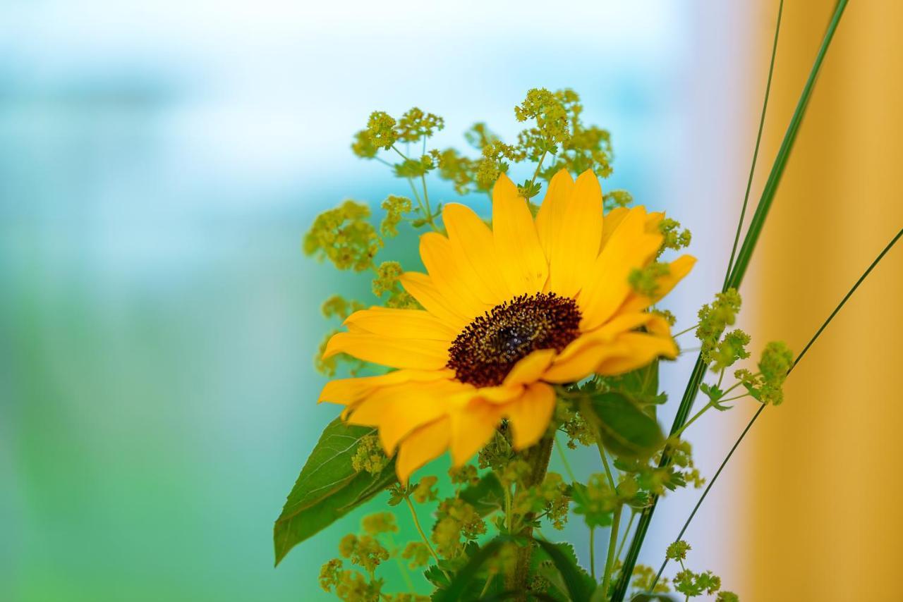 Hotel Restaurant Sokrates Güttingen エクステリア 写真